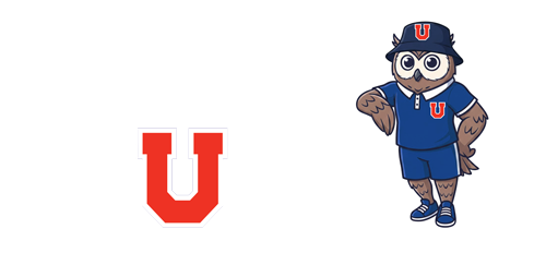 Dale Búho